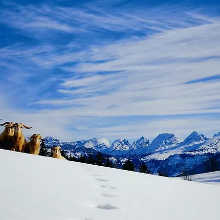 Sonnmatt Bergpension & Gesundheitszentrum Ebnat-Kappel