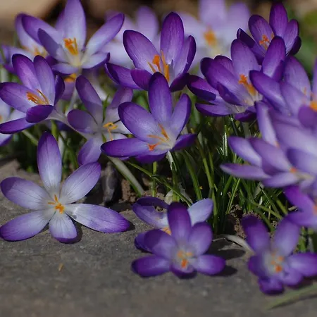 Sonnmatt Bergpension & Gesundheitszentrum Ebnat-Kappel