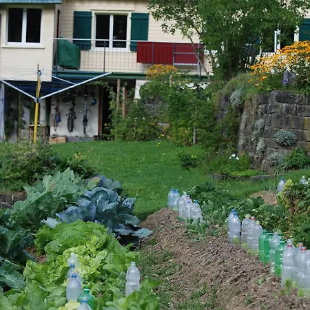 Sonnmatt Bergpension&gesundheitszentrum Ebnat-Kappel