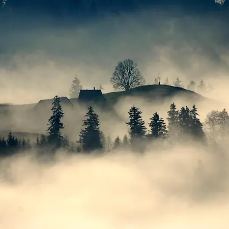 Sonnmatt Bergpension & Gesundheitszentrum *