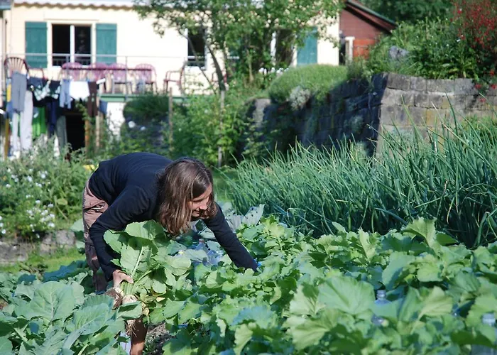 Maison d'hôtes Sonnmatt Bergpension & Gesundheitszentrum *