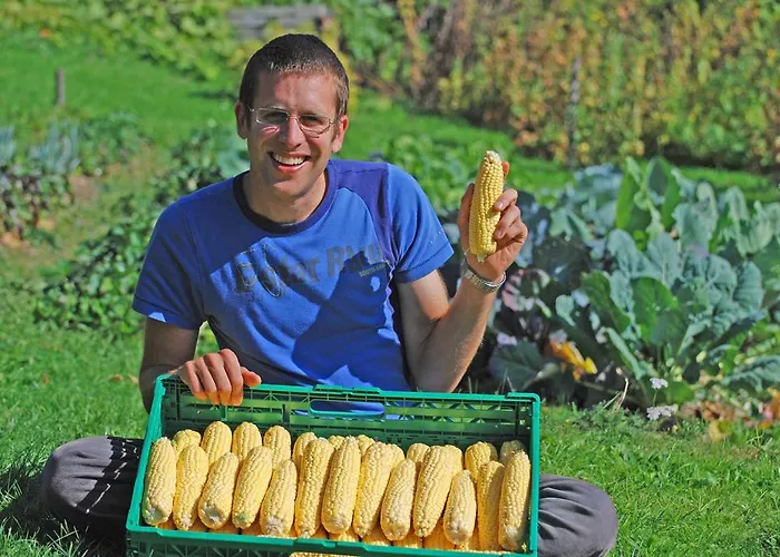 Maison d'hôtes Sonnmatt Bergpension & Gesundheitszentrum Ebnat-Kappel