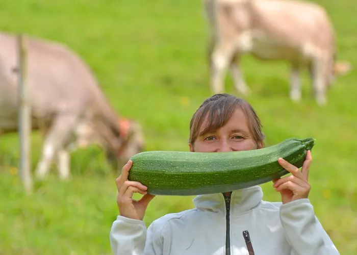 Maison d'hôtes Sonnmatt Bergpension & Gesundheitszentrum Ebnat-Kappel