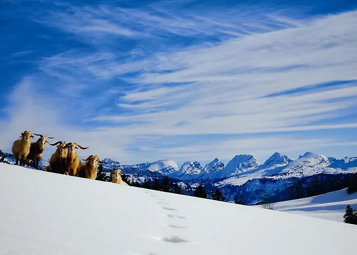 Sonnmatt Bergpension & Gesundheitszentrum Ebnat-Kappel