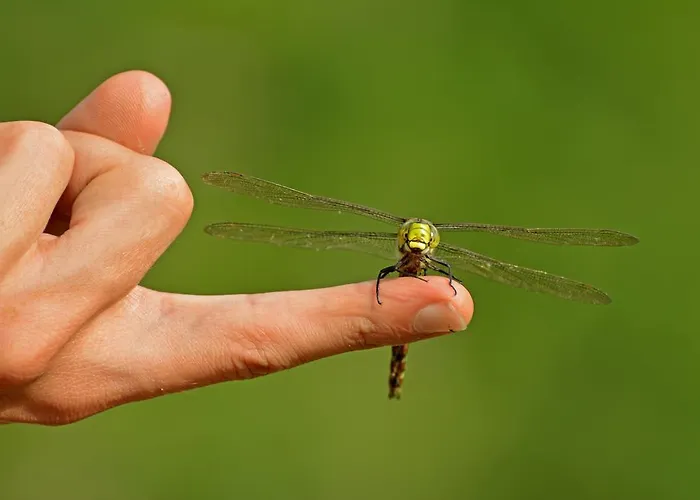 Sonnmatt Bergpension & Gesundheitszentrum Gasthuis Ebnat-Kappel