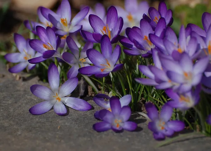 Sonnmatt Bergpension & Gesundheitszentrum Ebnat-Kappel