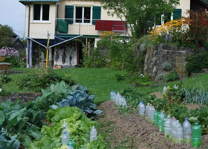 Sonnmatt Bergpension & Gesundheitszentrum Ebnat-Kappel