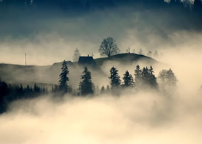 Sonnmatt Bergpension & Gesundheitszentrum *