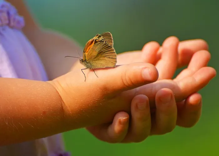 Sonnmatt Bergpension & Gesundheitszentrum * Ebnat-Kappel