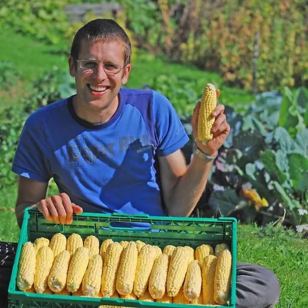 Maison d'hôtes Sonnmatt Bergpension & Gesundheitszentrum Ebnat-Kappel